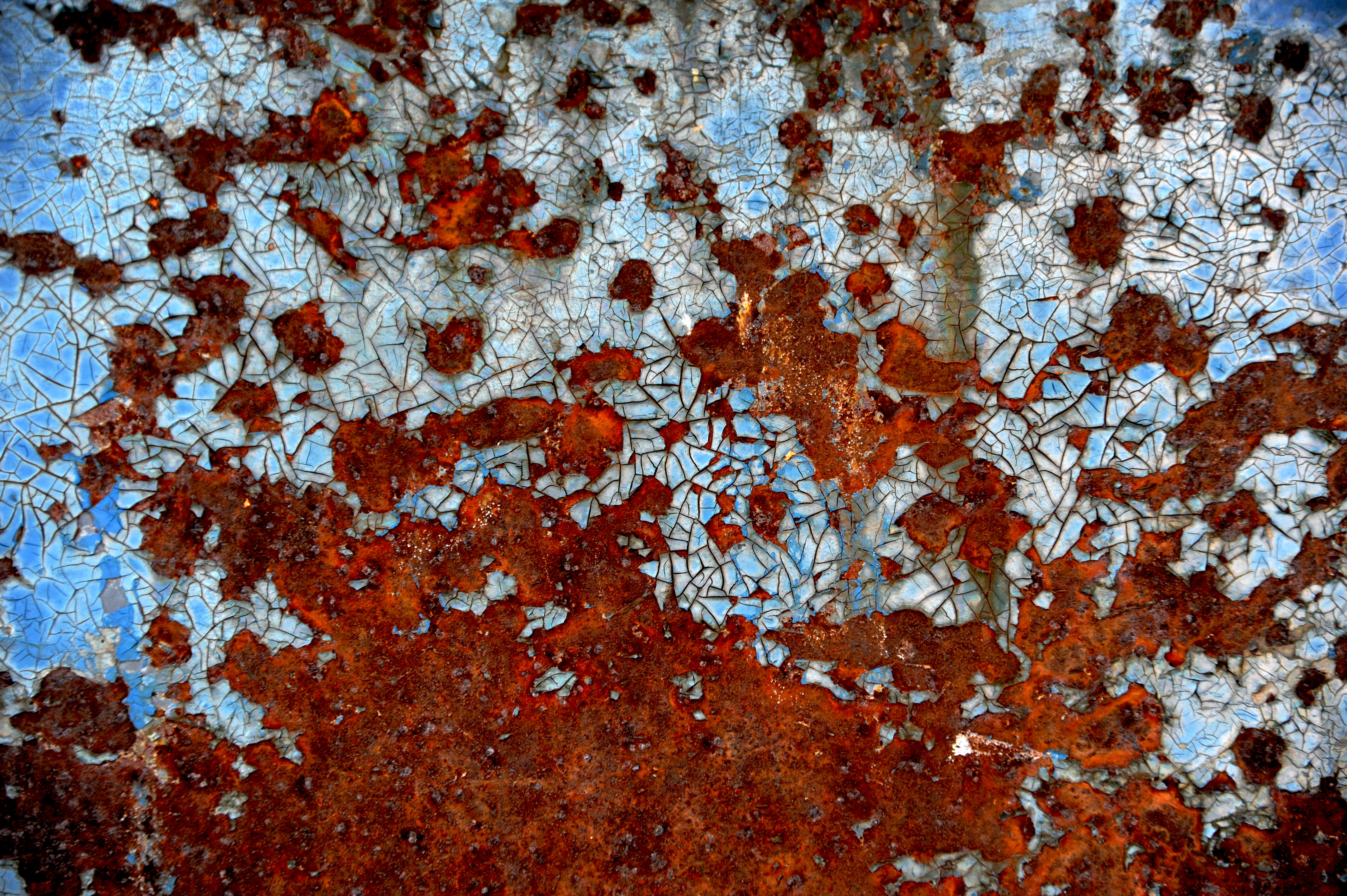 Red rust and blue фото 13