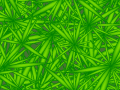 Grass Seamless Pattern