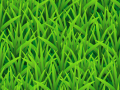 Vector Grass Pattern
