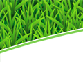 Green Grass PowerPoint background