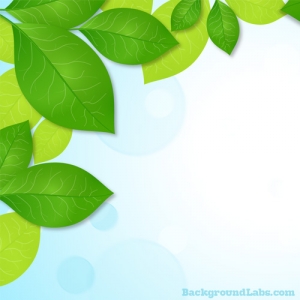 Green Leaves Frame Background